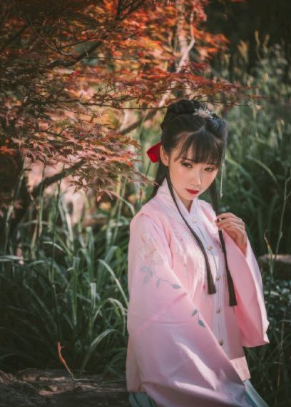 陈宝莲灯草和尚